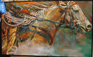 Shannon_Ford_Smooth_Gallop