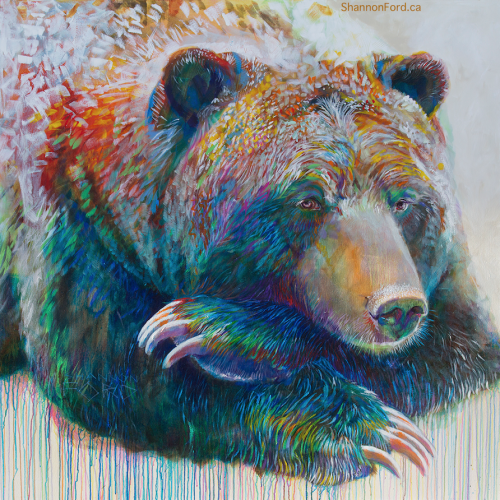 Shannon Ford, Grizzly in Pipestone 6, 60 X 60, Acrylic on Canvas