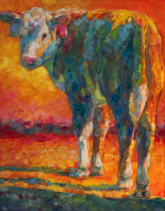 herfordcalfjpg