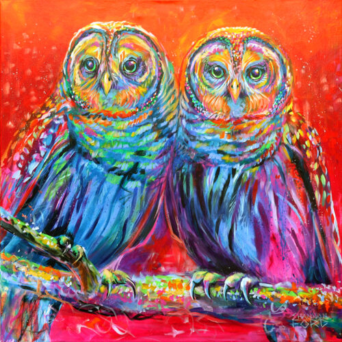 barred owls painted by contemporary wildlife artist Shannon Ford